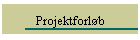 Projektforlb
