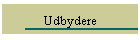 Udbydere