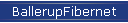 BallerupFibernet